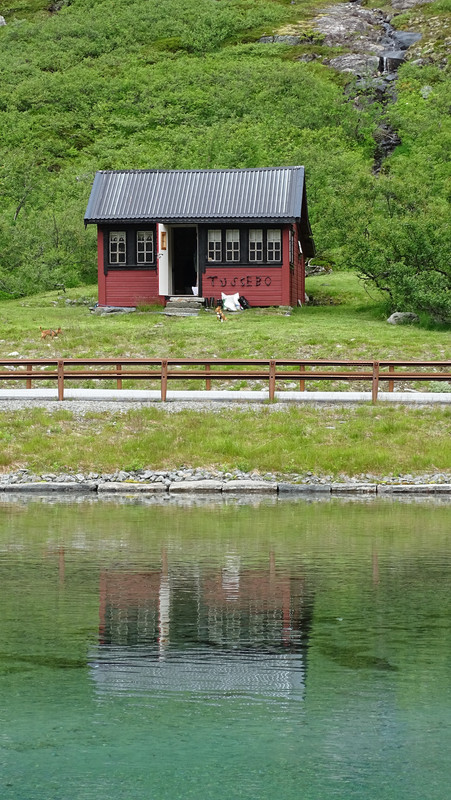 DSC01017.jpg