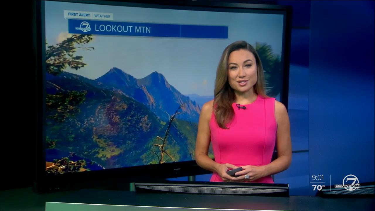 07 June - 16.00.00 - 7 News Now Sunday at 9 AM..ts_snapshot_00.03.22_[2020.06.07_17.51.59]