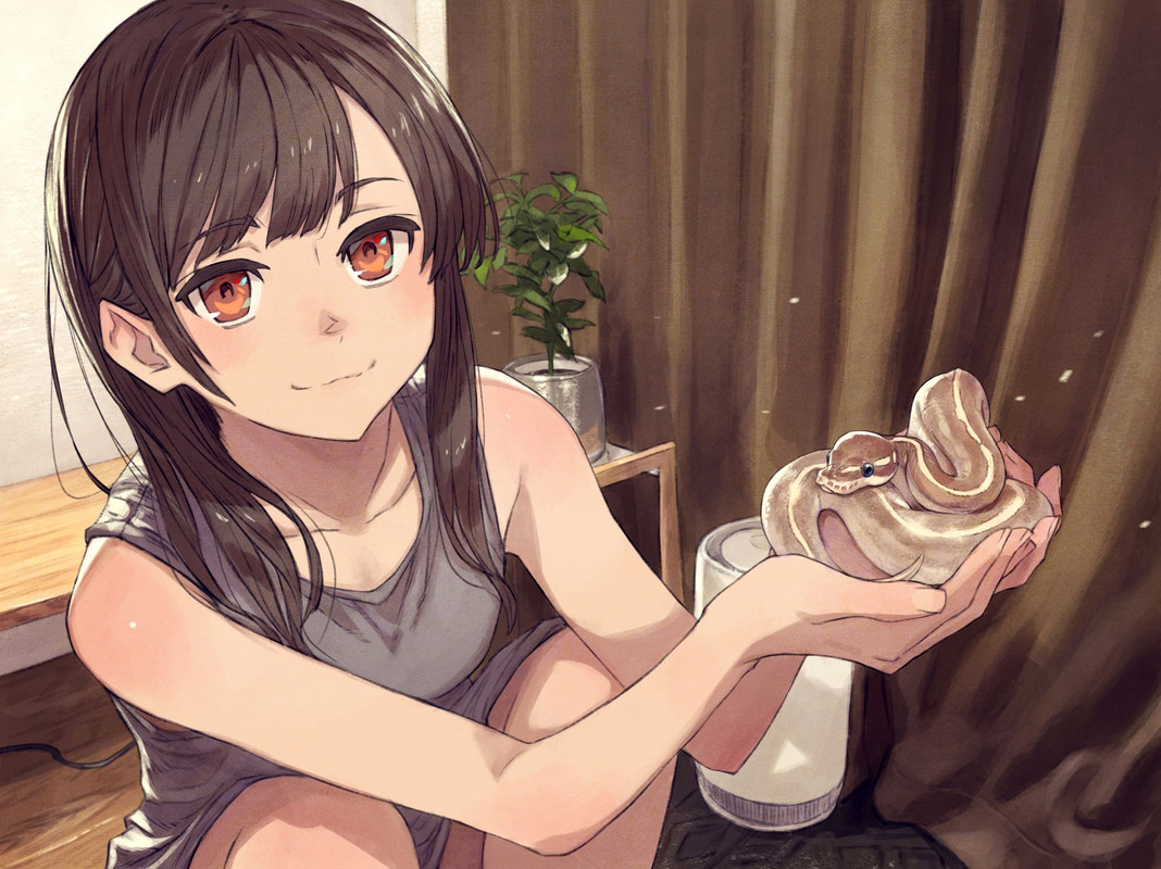 sugomori-san-original-drawn-by-kusano-shinta-7171cc6c2c018b1c6d7beeae8e313c6b-1