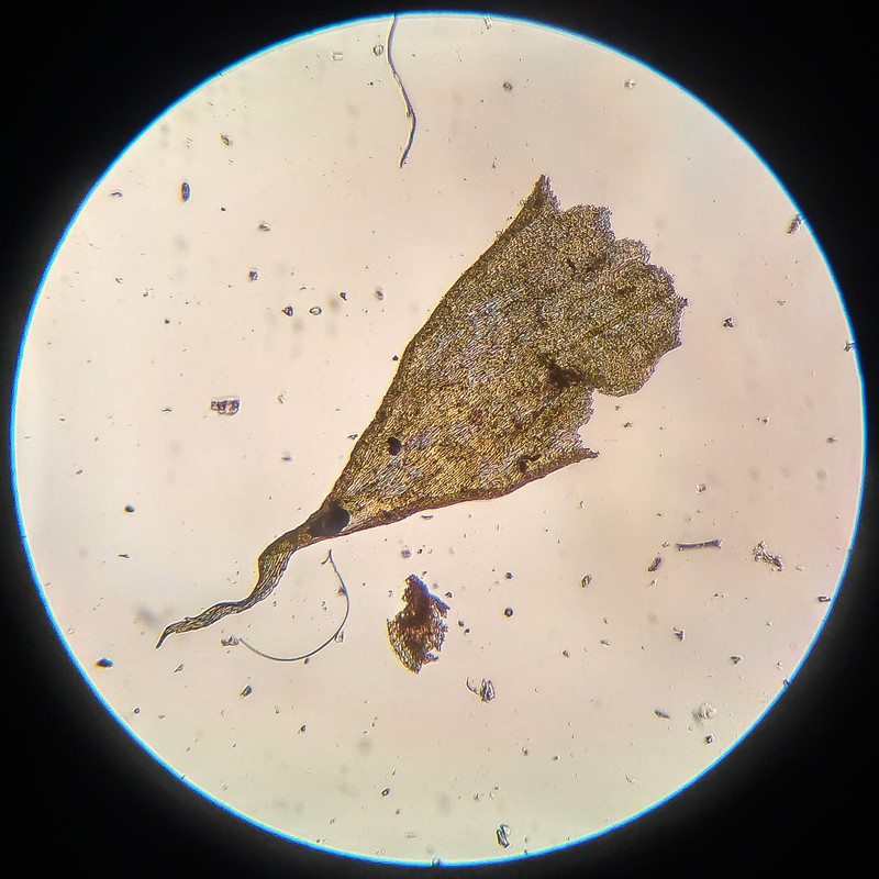 IMG 20250616 210141 HDR