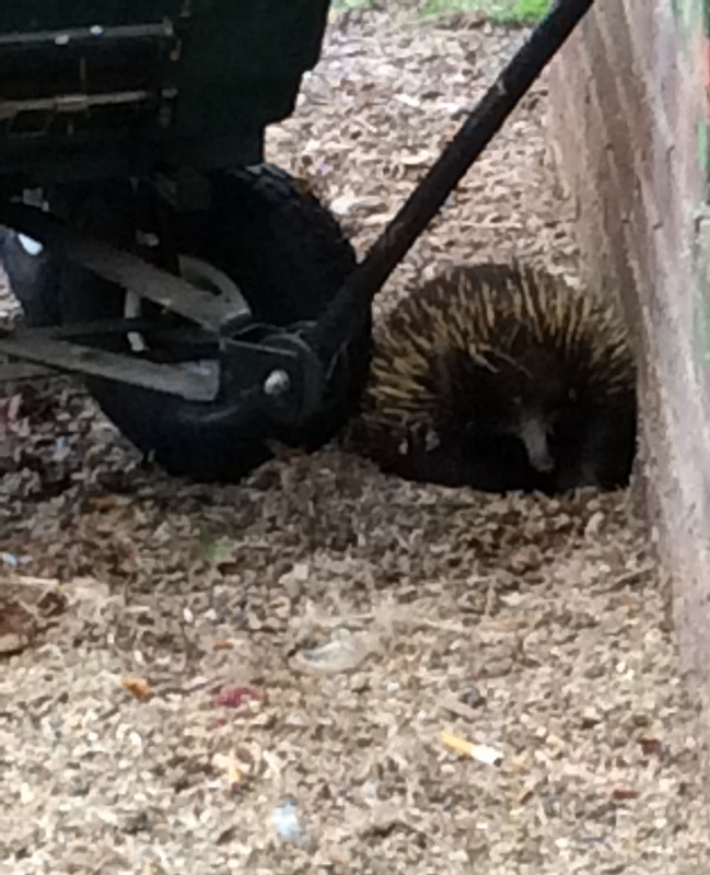 EBF2E8E3-38FA-44BD-82D0-5FE32E101254