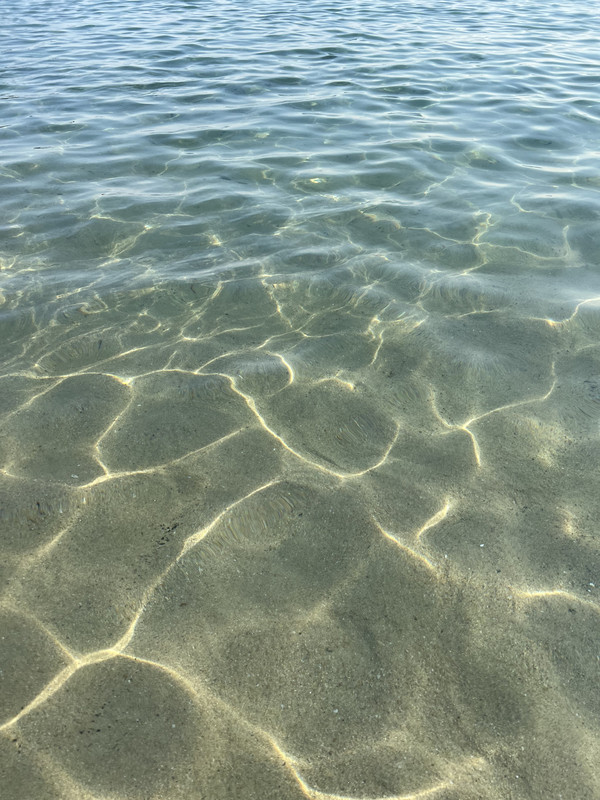 3D1D1D78-97C9-4D7C-979B-E1078FBD136A