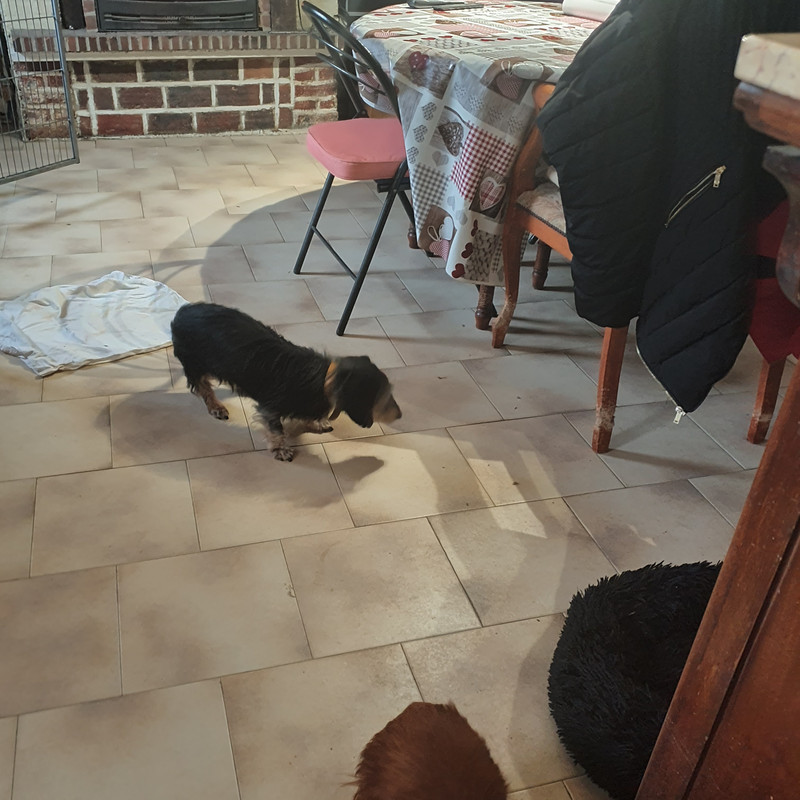 [Image: 20210124-105308.jpg]