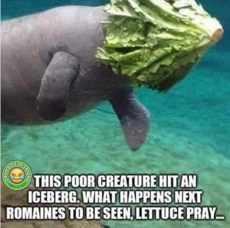e0d788e4-e5ca-4e0d-8468-b25ef26e27fd