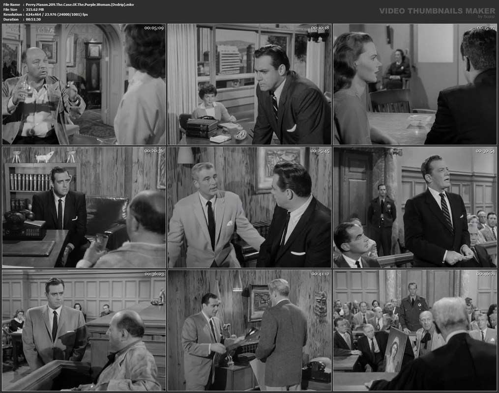 Perry.Mason.209.The.Case.Of.The.Purple.Woman.(Dvdrip).mkv