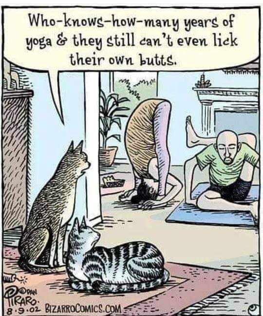 yoga.jpg
