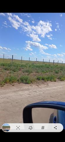 Screenshot 20251110 115952 Gallery