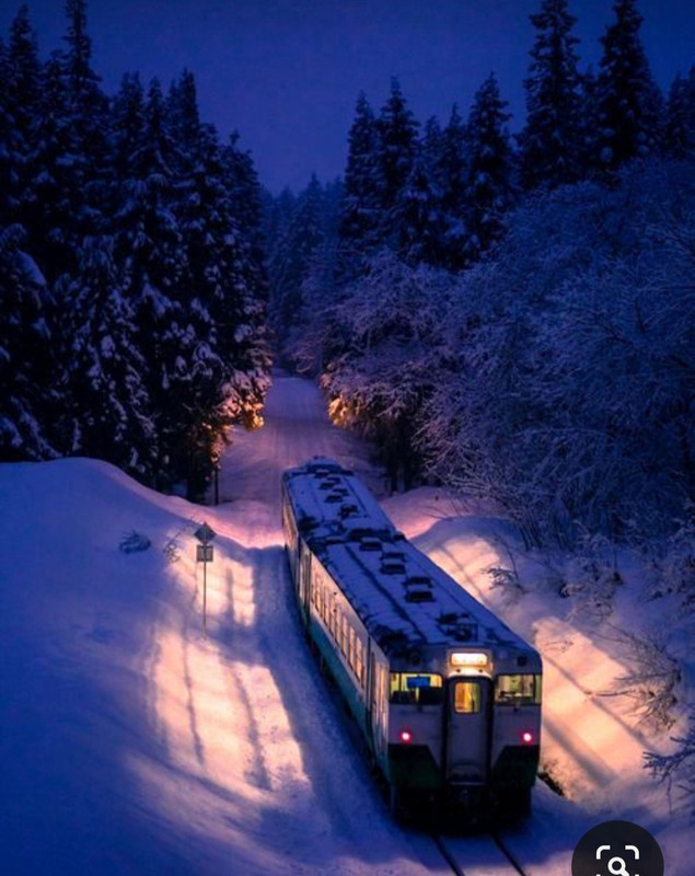 Screenshot_20231009_212033_Pinterest