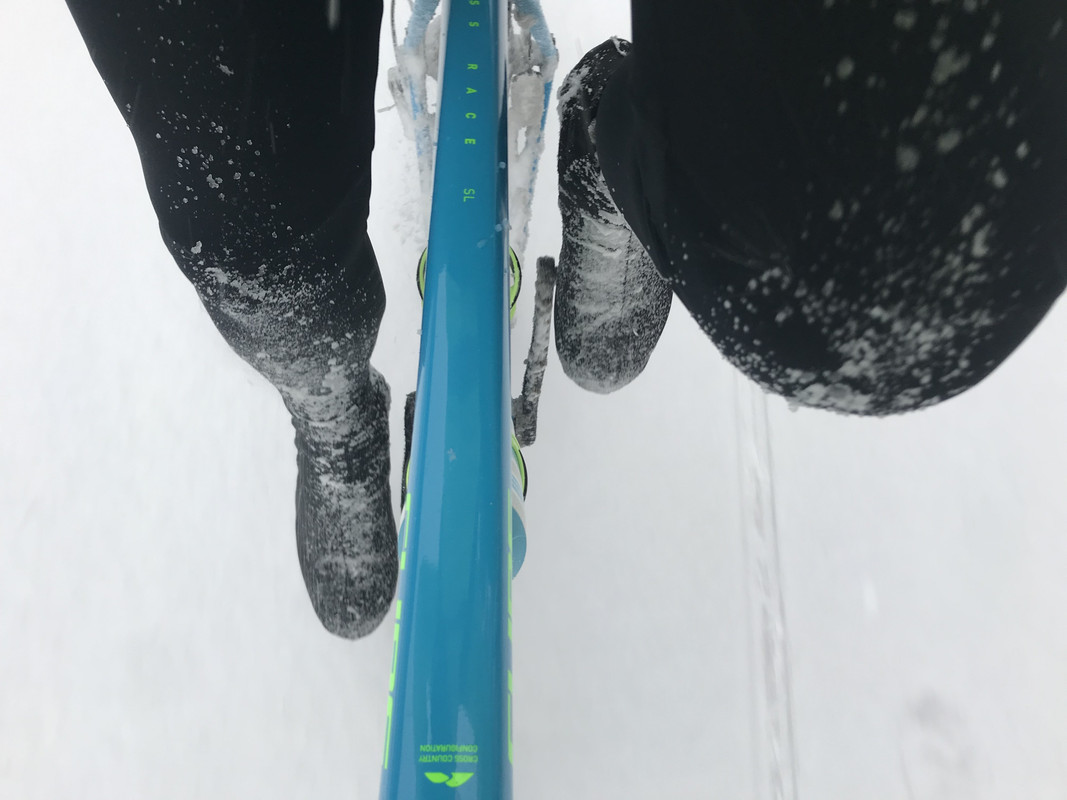 CF85212F-F17E-452F-AEC8-060D0F99DA79