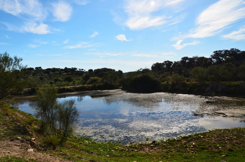 CANCHO DE VALDECASTILLO-14-6-2023 - Extremadura y sus pueblos -2010-2023 (6)