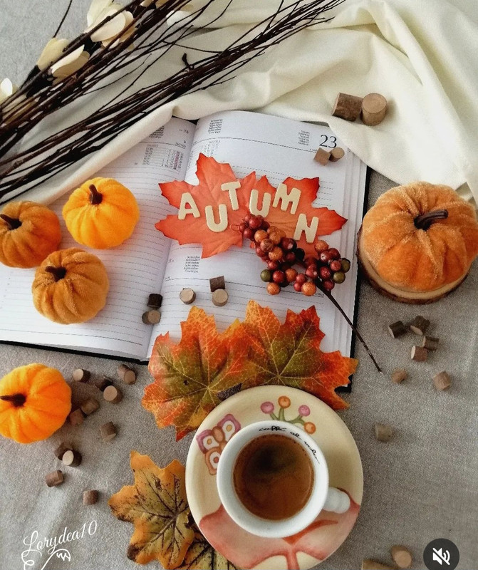 Screenshot_20231203_234036_Instagram