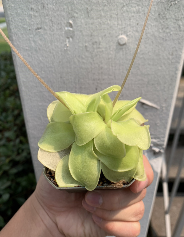 7AA7DCA2-FC82-45F2-80B6-B15986C2524C