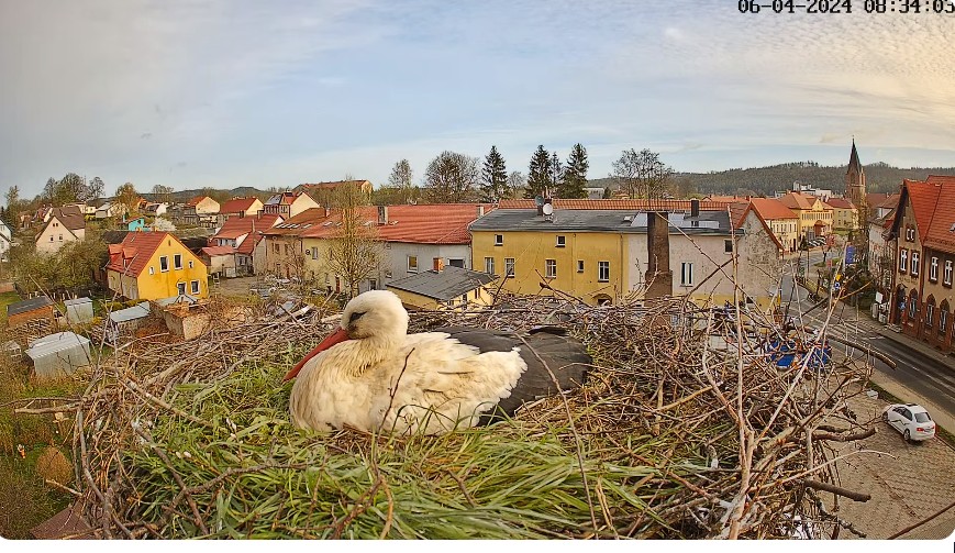 ScreenHunter_524 Apr. 06 18.10