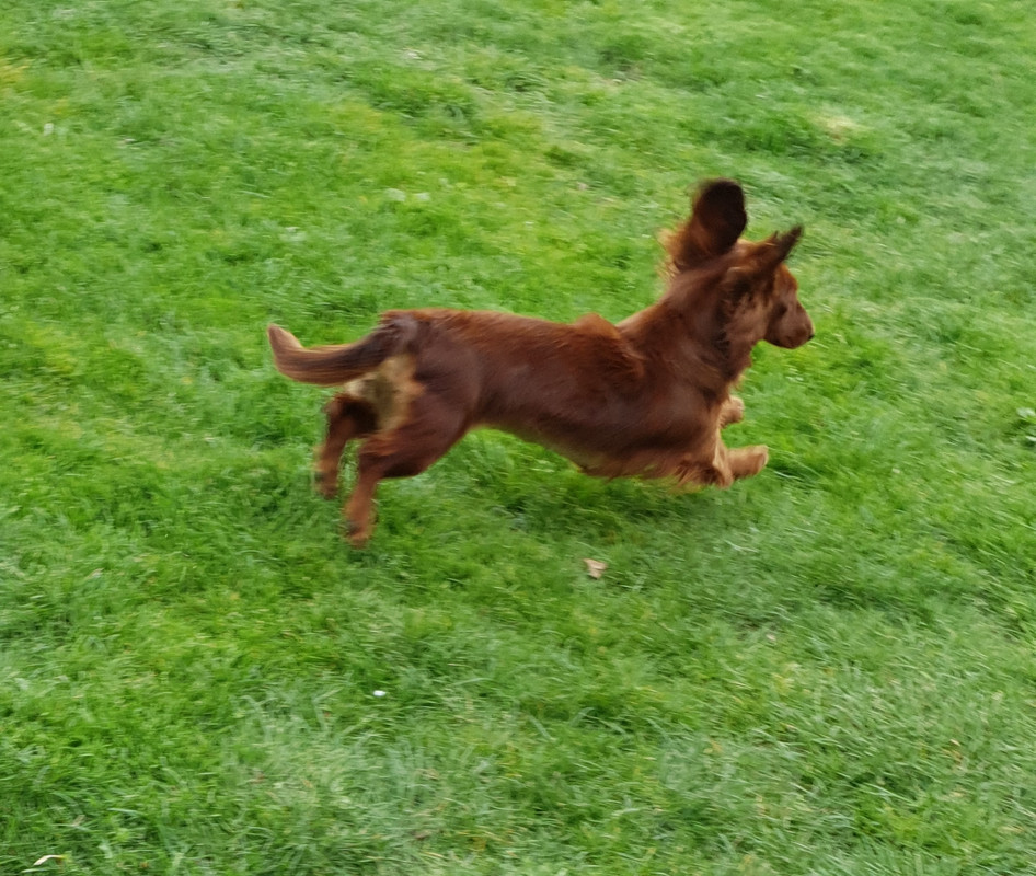 [Image: 20210327-213113.jpg]