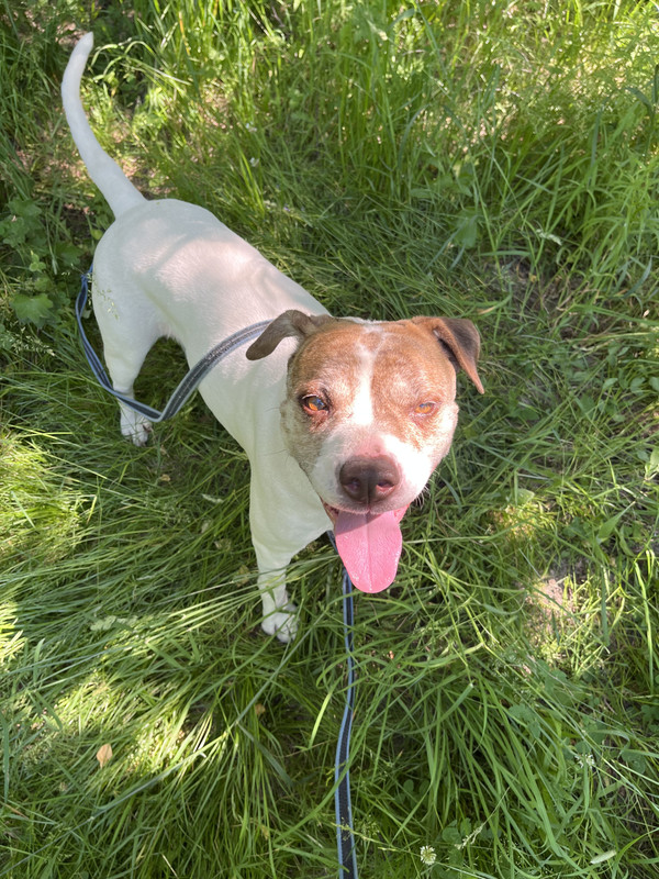 79898ADF-2D3A-4521-A218-B81E6FAE1891