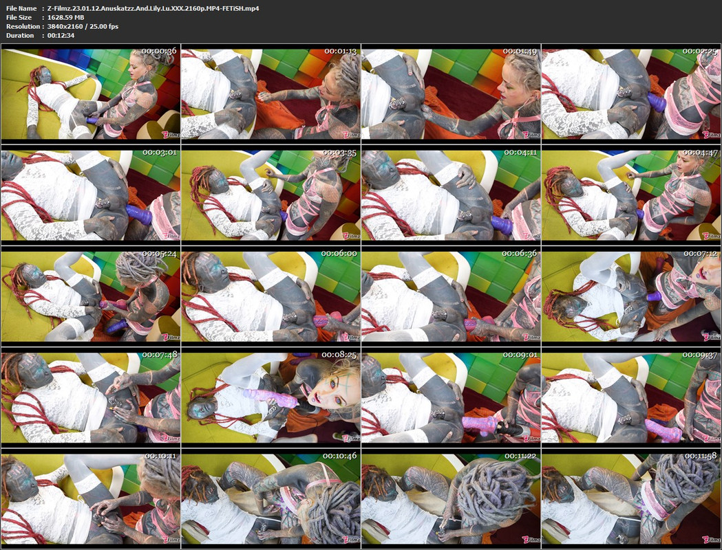 20082024223547screenshot