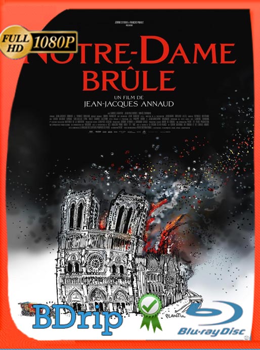 Notre-Dame: Desastre en París (2022) BDRip HD 1080p Latino [GoogleDrive]