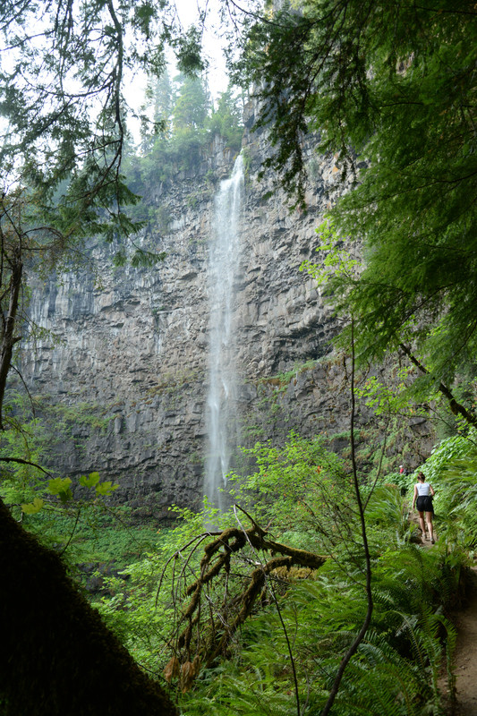 Árboles gigantes, fuegos y volcanes extintos - Oregon y California norte (2018) - Blogs de USA - Zona volcánica de Oregon (19)