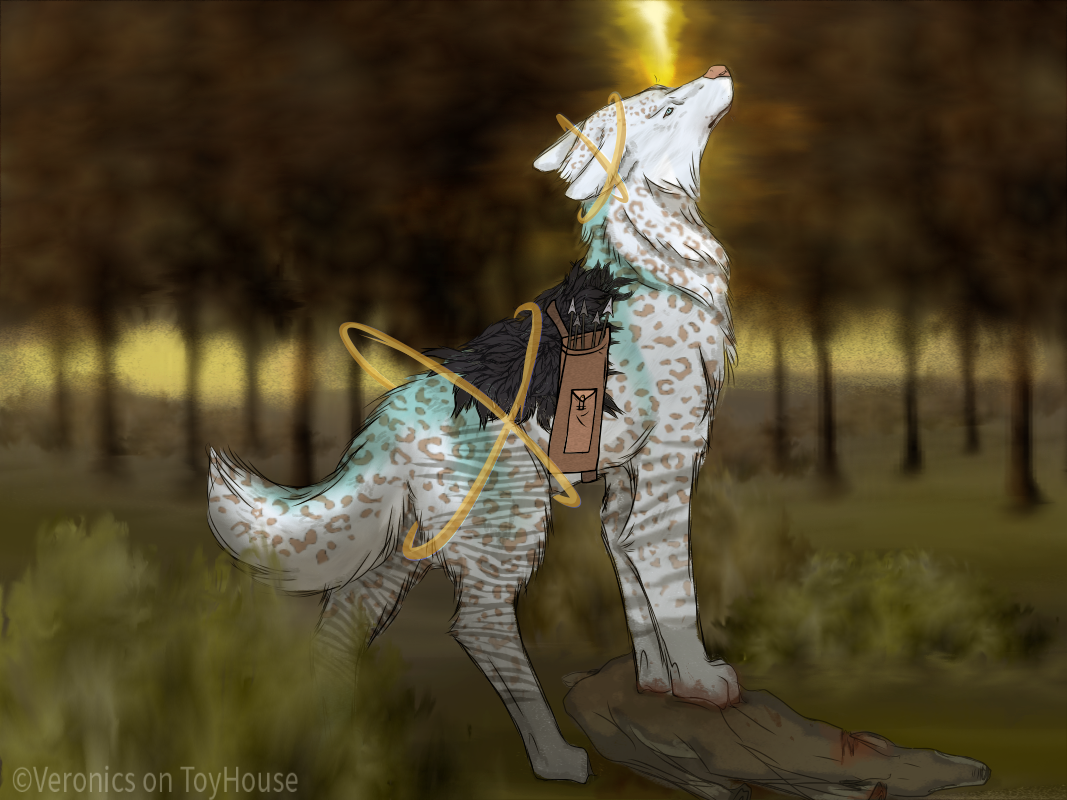 IMG-1873.png