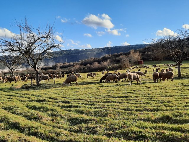 INTRODUCCION Y PEQUEÑOS CONSEJOS - Rincones perdidos: Sierra de Albarracín y Montes Universales. (3)