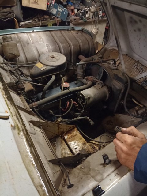 WhatsApp Image 2023-11-02 at 21.35.00(2)