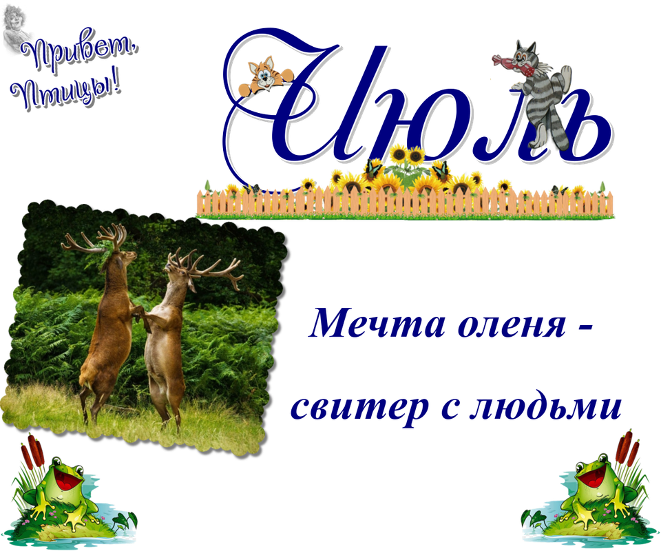 https://i.postimg.cc/LXyDLCHx/11-07.png