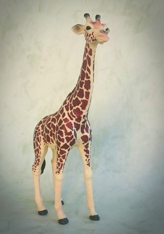 Mojo 2020 - Masai Giraffe 20200627-130625