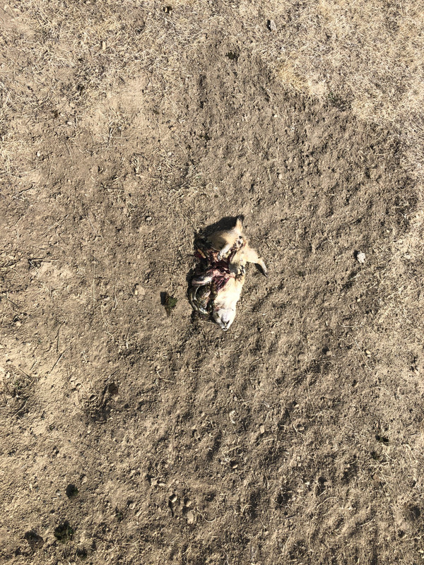 6FEAF771-6B29-411B-A155-D97850D1436D