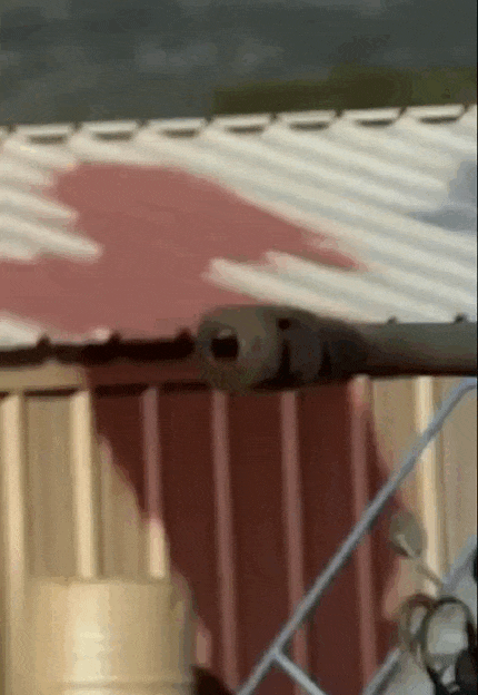 https://i.postimg.cc/LXyXrh5j/video-2026-09-20-04-16-41-(1).gif