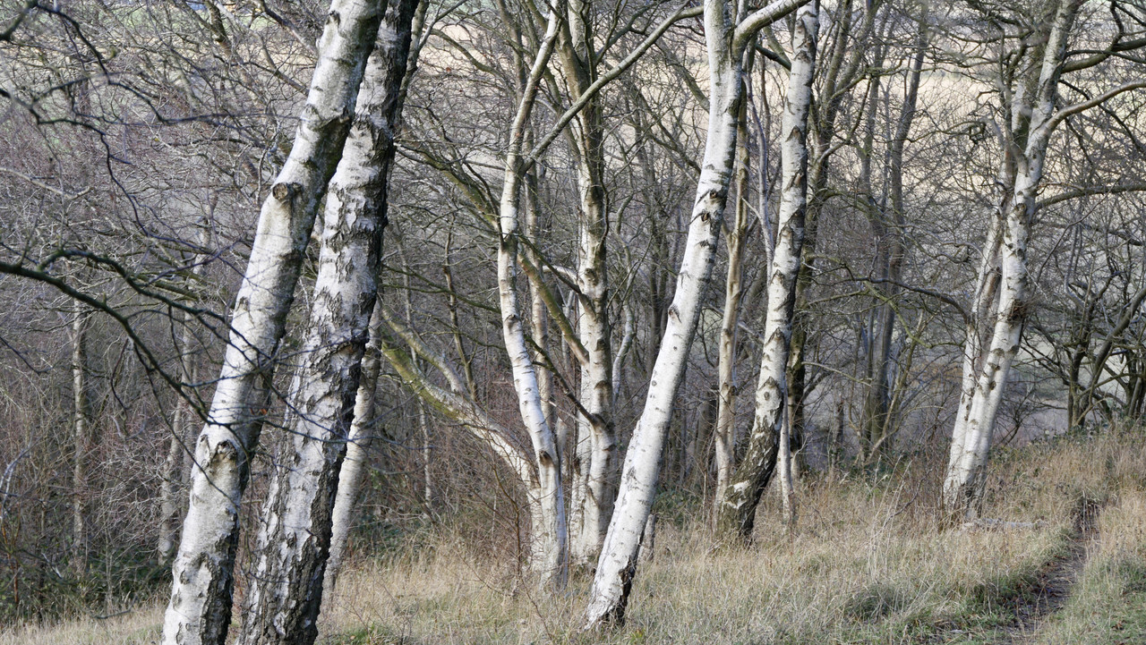 8373BEDD-74E1-4850-95E9-4E7E94B82C83