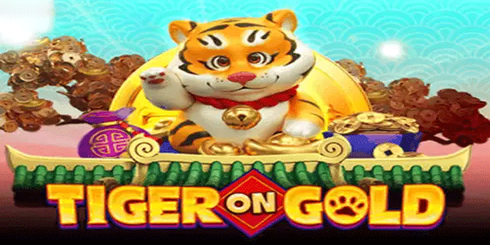 Tiger On Gold Daily Pola Unggul Jackpot Setiap Hari