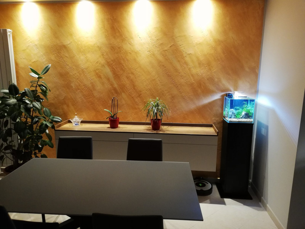 Caridinaio 30x30x30 (8)