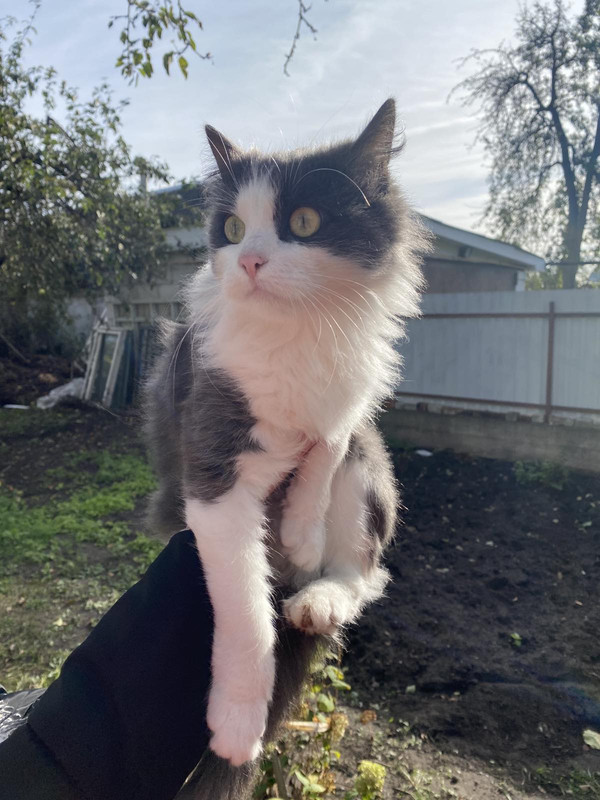 IMG-ba27ccff516eb2c829bc3ccc0773b672-V