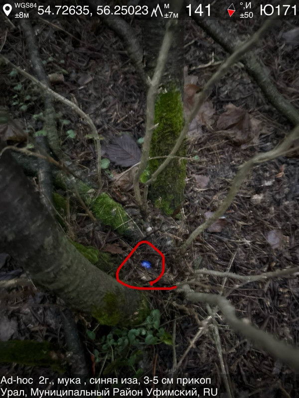 photo 2025 11 22 13 05 51