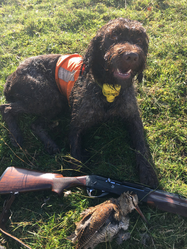 3DDECD68-6B1D-41D8-857C-7301745F5A0B