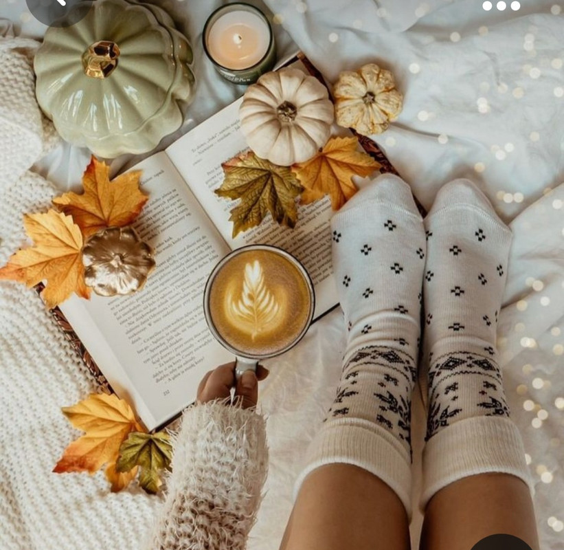 Screenshot_20231016_130449_Pinterest