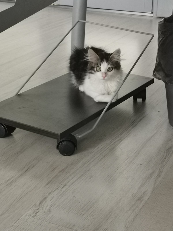 IMG-94988b835b113c0da3192f6ea314dda3-V