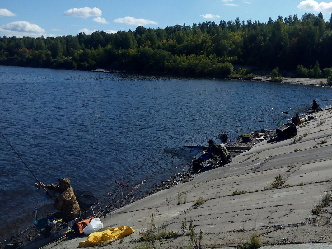 Камский фидер-2 2015 07
