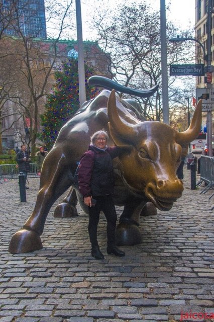 Décimo octavo dia, 8 de Diciembre. Nueva York - Minidiario de Bitácora IX. Trasatlántico a bordo del MSC Seascape (3)