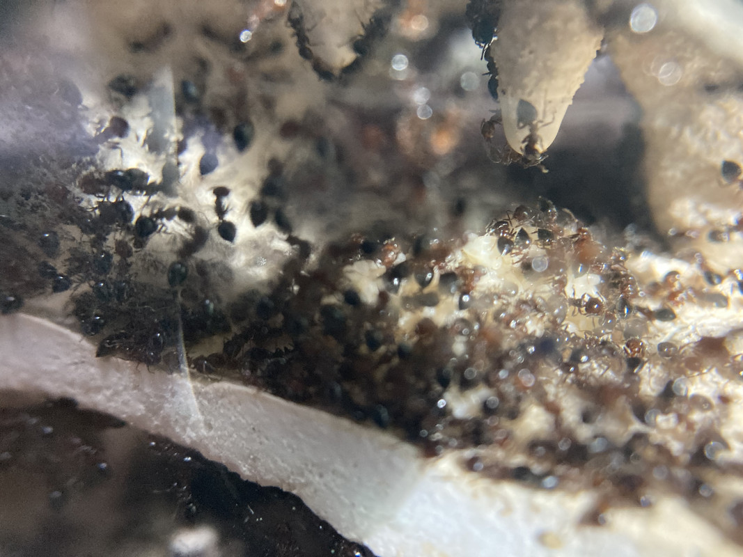 708146AA-DB93-4BFC-AEF5-BAC0E63A07A7