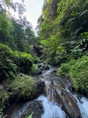 6 Aviones, 3 barcos y 2 trenes, empezando en Estambul y terminando Kuala Lump - Blogs de Indonesia - TERCERA PARADA: BALI (115)