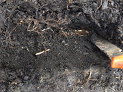 IMG_20221008_123717_Erased