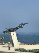 IMG-8790