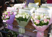 photo 20 2026 01 03 21 17 28