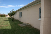 IMG-3145-Copy