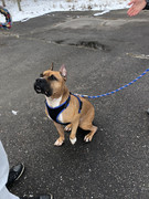 FD2F4B04-6F7D-4AD3-BF0E-56F237910422