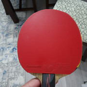 WhatsApp Image 2025-05-25 at 09.53.57 (1)