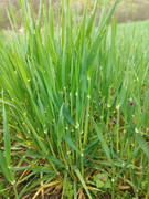 IMG-20230401-170537.jpg