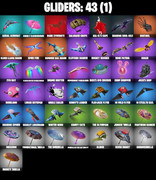 gliders-comp
