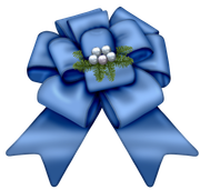 Magic-Snowkitpudnbow